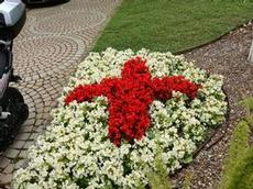 Röda korset i Monaco har en genomtänkt plantering