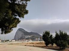 Levantens skägg hänger vid toppen av klippan i Gibraltar