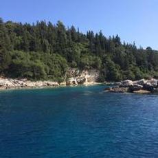 Paxos